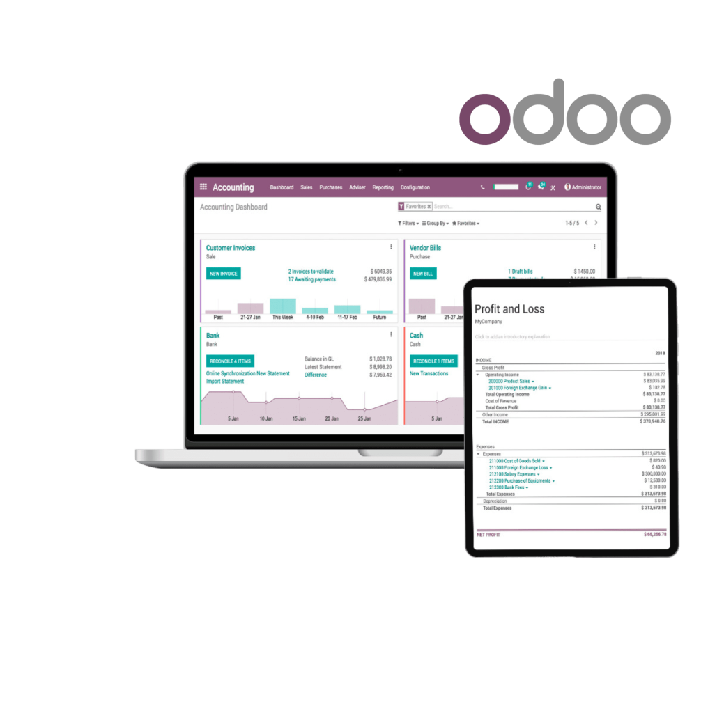 Hire Odoo developers remotely