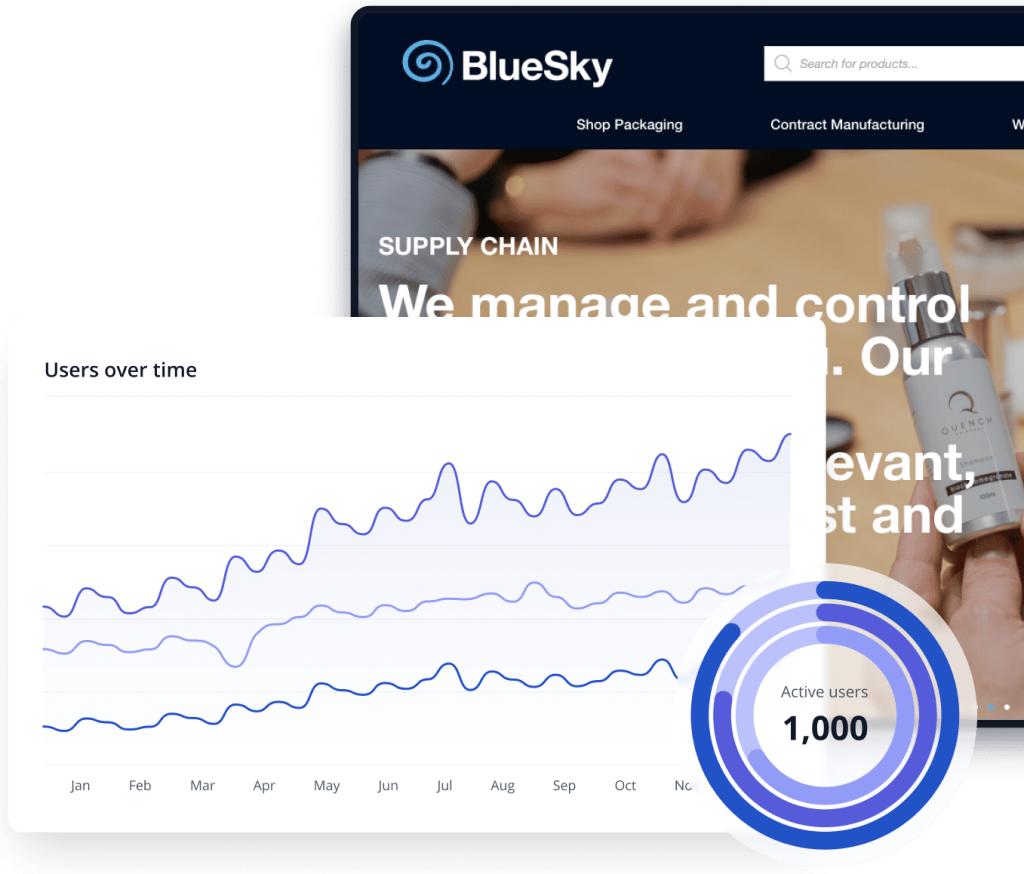 ERP for Bluesky Solutions