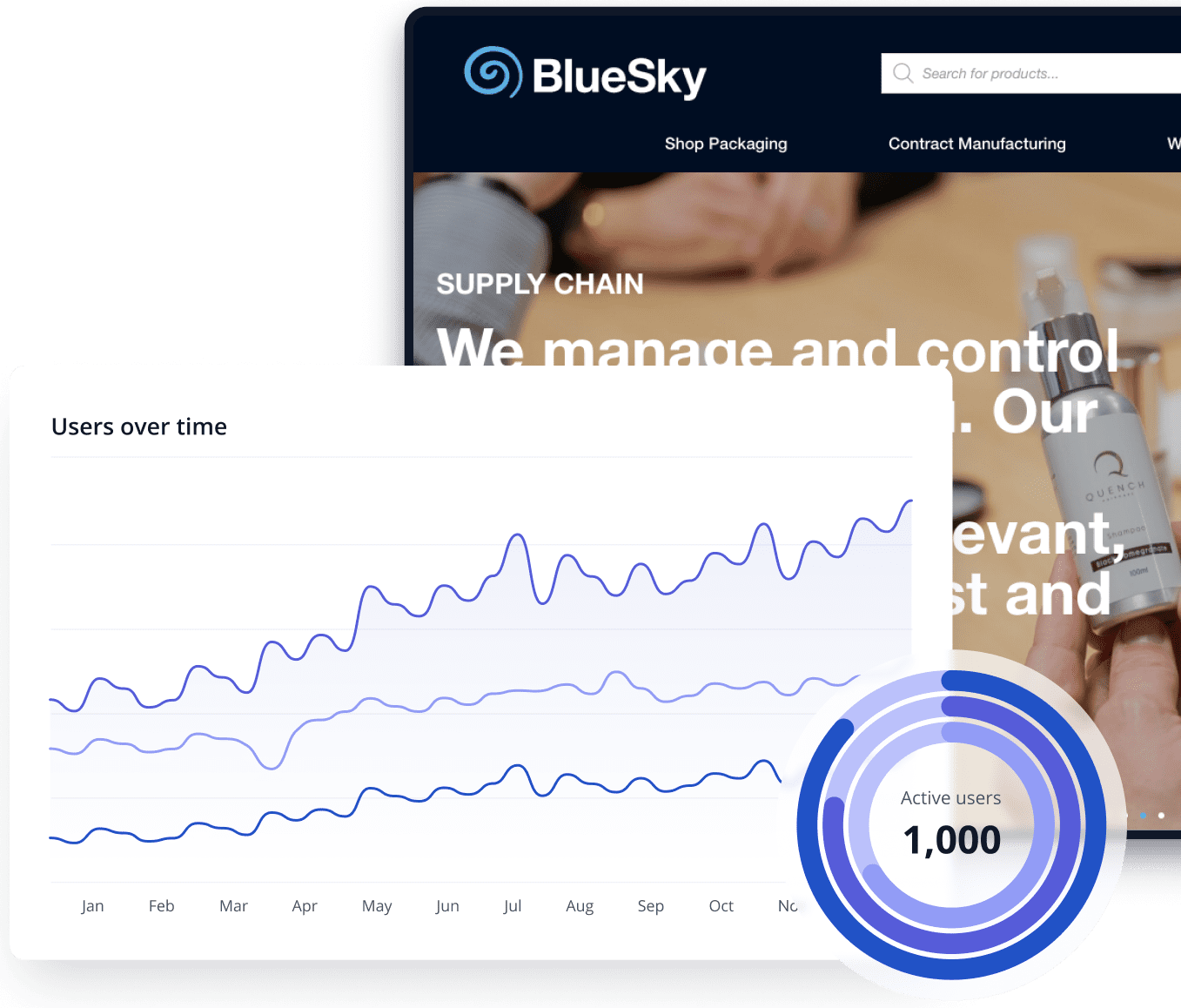 ERP development for Bluesky Solutions