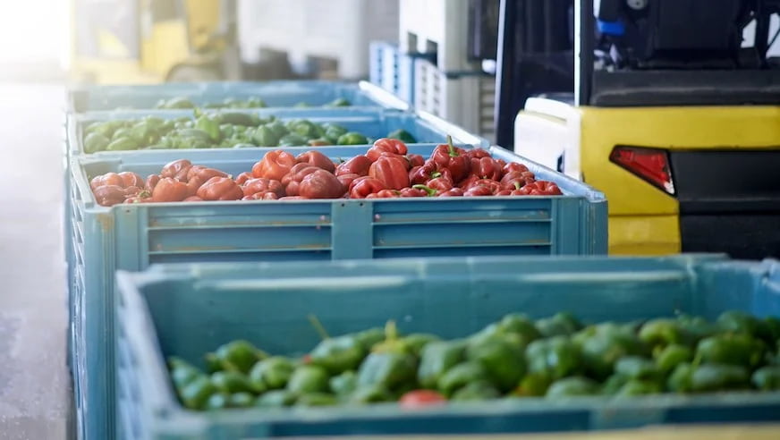ERP solutions for food industry