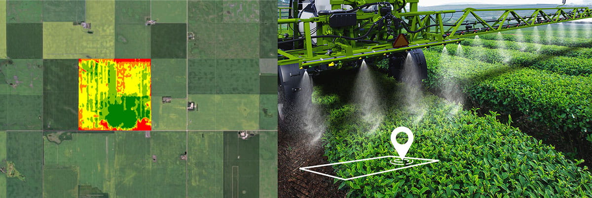 GIS technology in agriculture