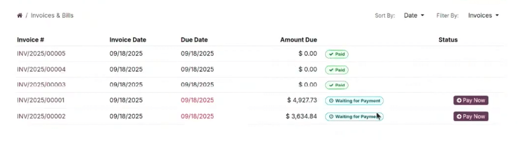 invoices client portal