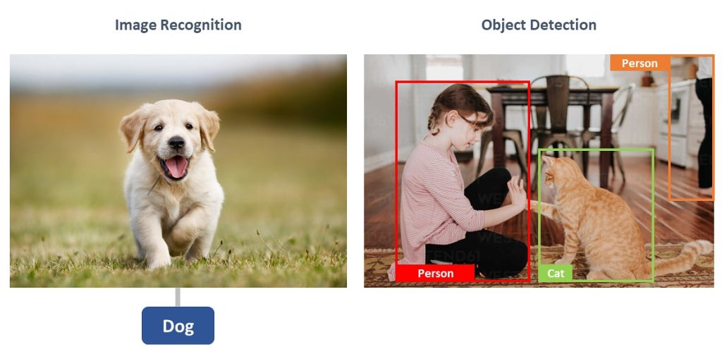 10+ Applications of Object Detection Technology in Various Industries