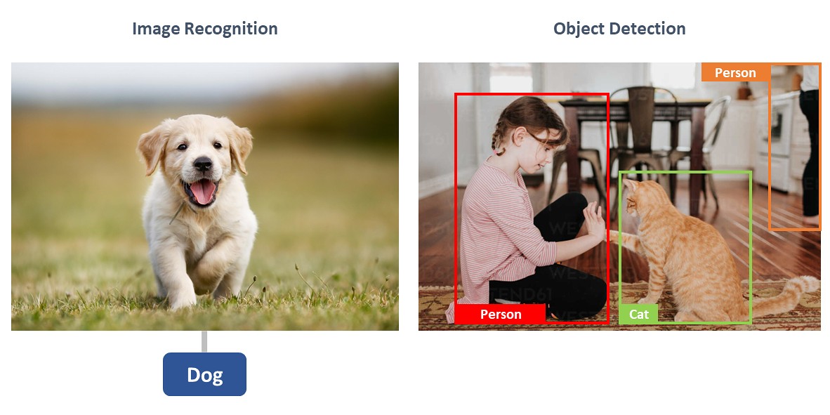 What are the differences between object detection and image recognition