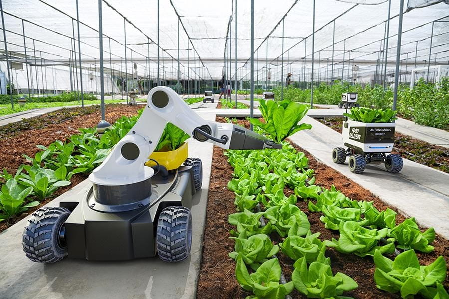 Agriculture Technology: Transforming Farming for a Sustainable Future