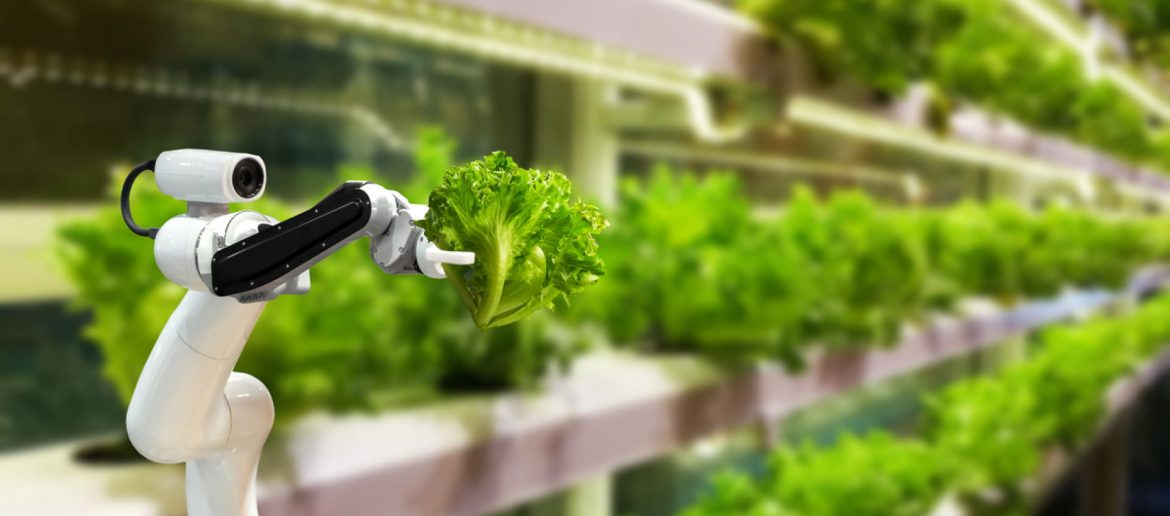 Vertical Farming Technology: Everything You Need to Know